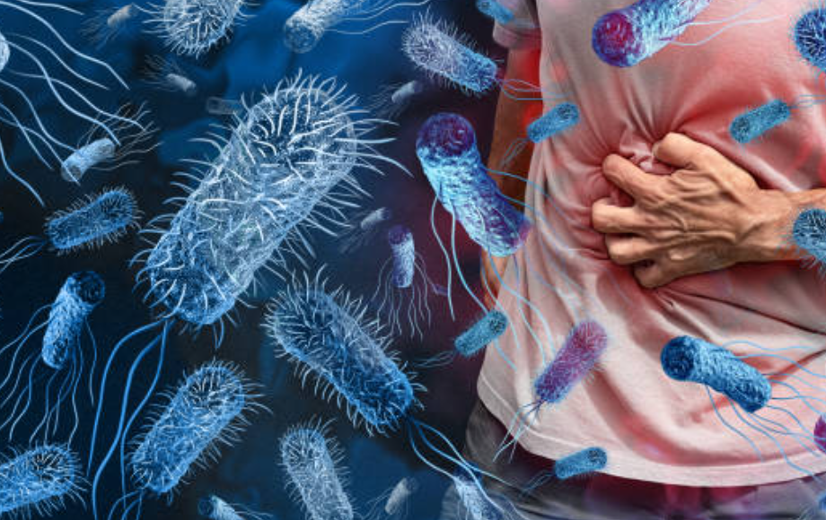 식중독과 관련된 사진1