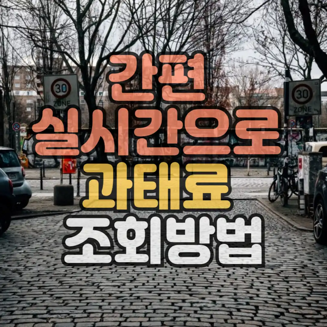 간편실시간으로 과태료 조회방법