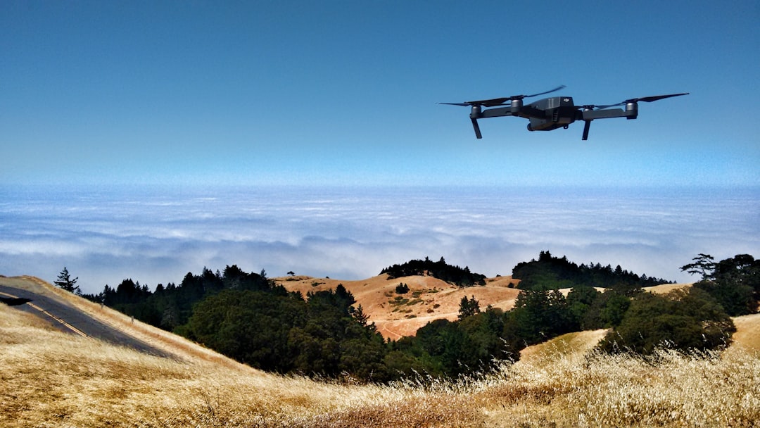 Drone