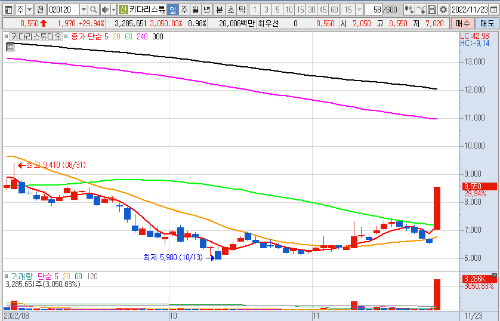 키다리스튜디오 일 차트