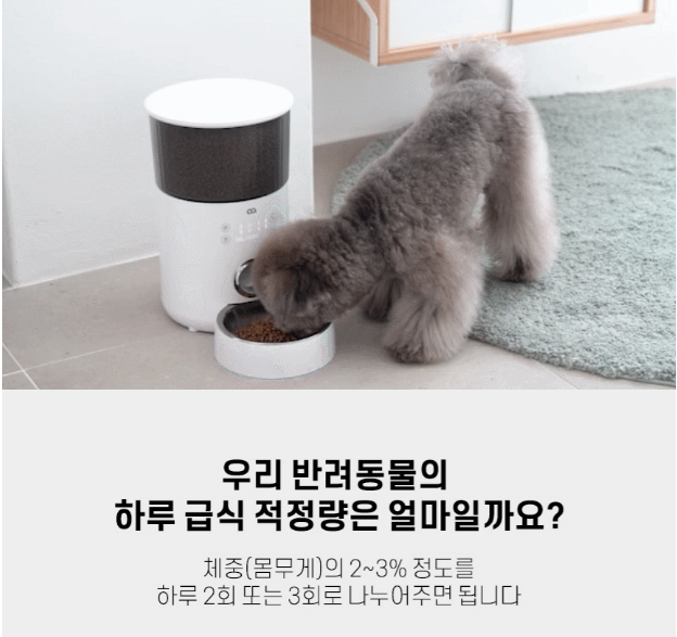 자동급식기