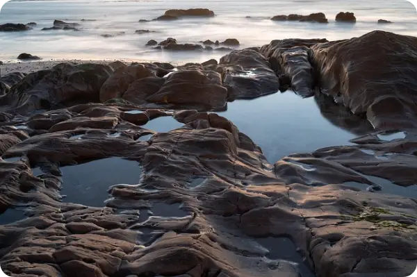 쏠비치남해 예약