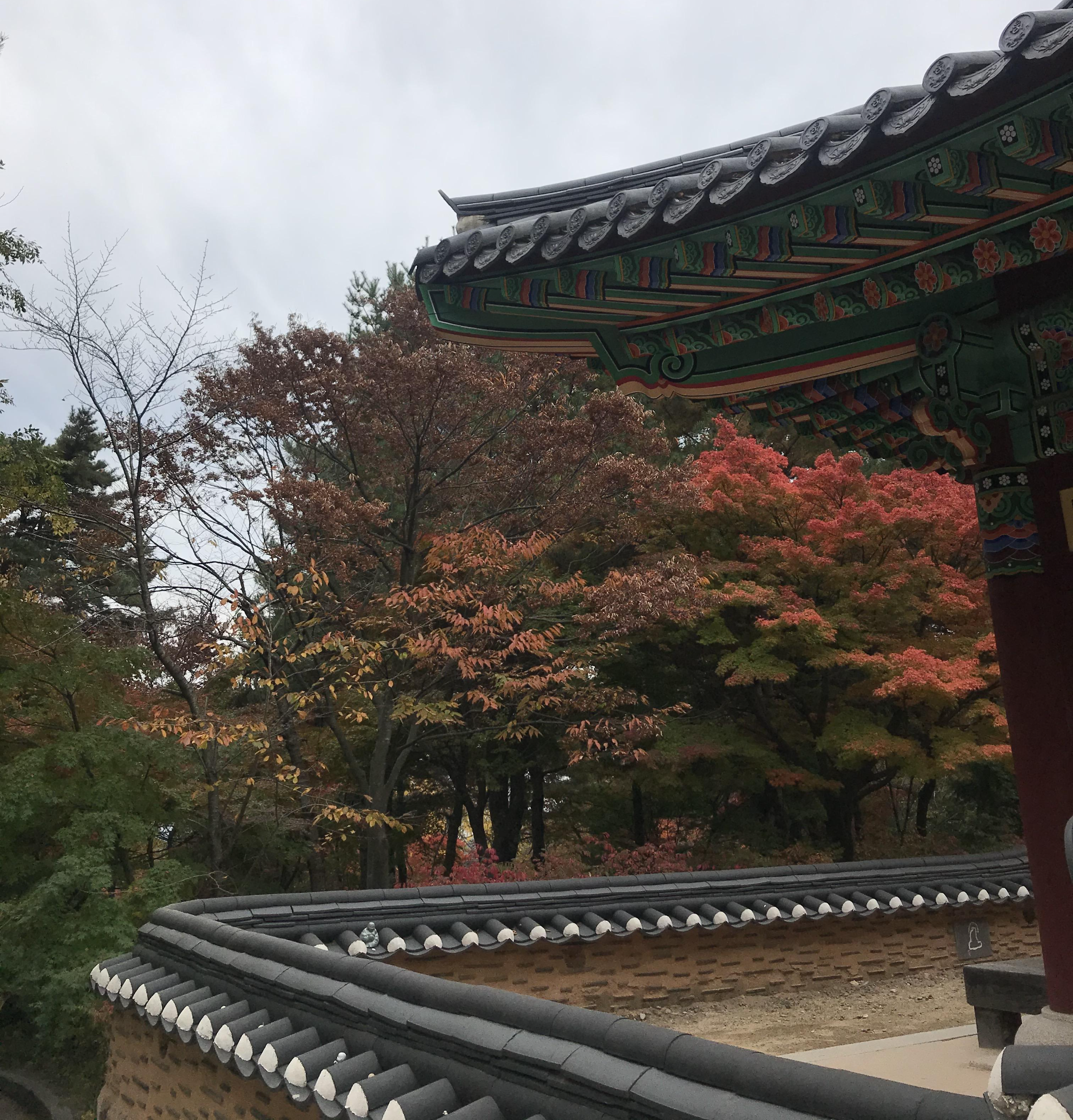 예산 수덕사 역사 자연 경관 활동 및 주변 관광지 안내