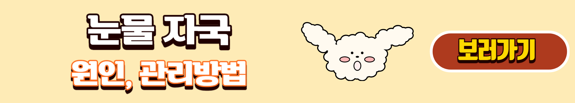 말티즈 눈물자국 원인, 관리방법