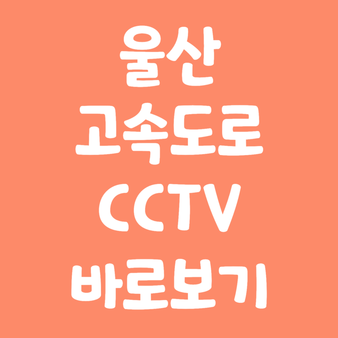 실시간 울산고속도로 CCTV 바로보기