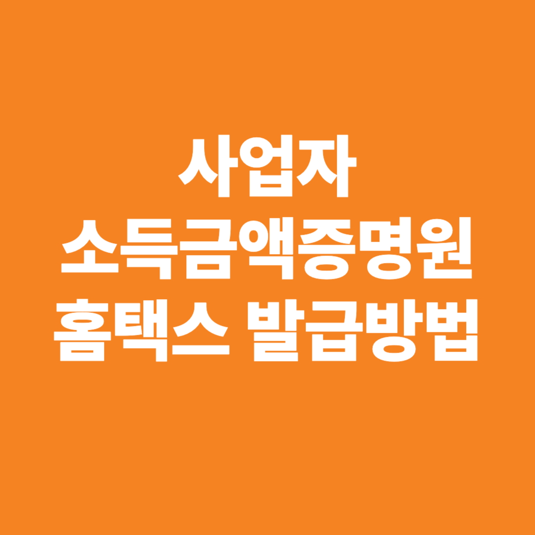 사업자 소득금액증명원 홈택스 발급방법