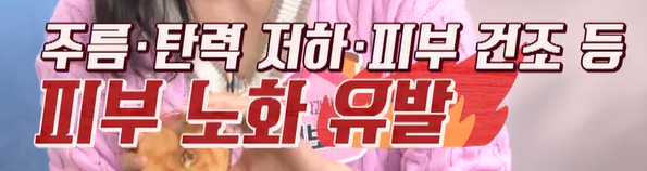 코엔자임큐텐의 효능