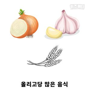 과민성 대장증후군 저포드맵