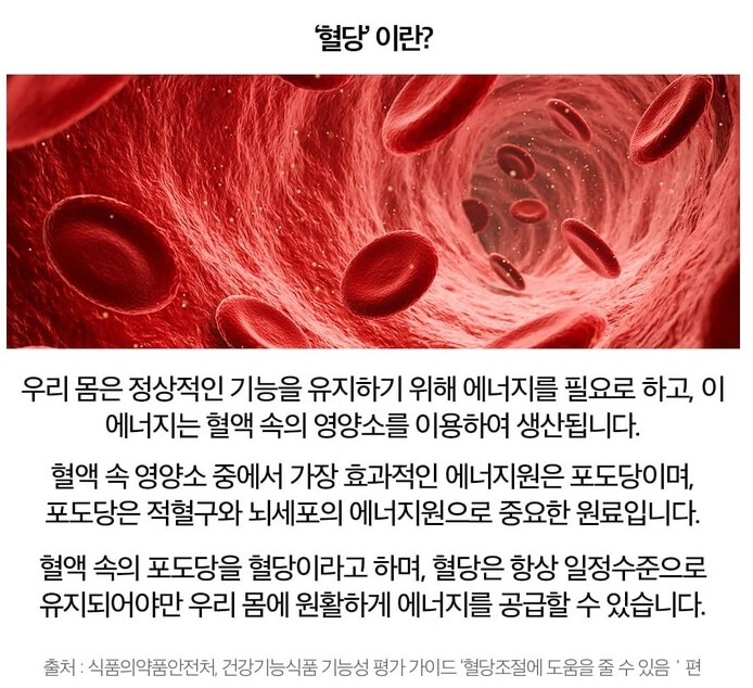 피토틱스-바나바리프