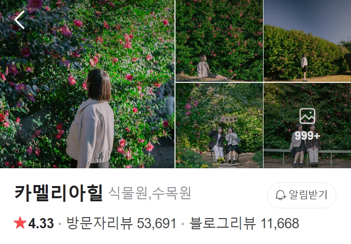 제주-카멜리아힐-썸네일