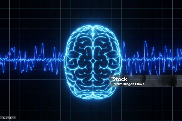 밥상 위의 양자역학: 음식과 관찰자의 의식은 어떤 관계일까?