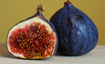 무화과 고르는 방법