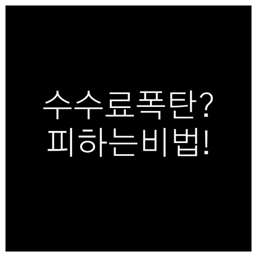 필리핀 에어아시아 수수료 폭탄 피하는..