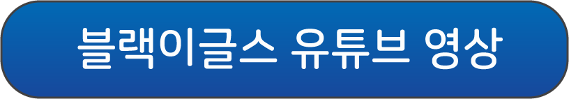 블랙이글스 최우수상