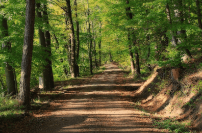 암환자 수면장애(불면증) 개선