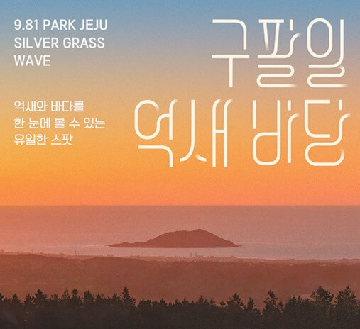 코리아세일페스타