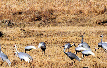 철원 가볼만한곳 베스트10