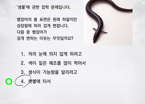 잡학 특급 2 이미지