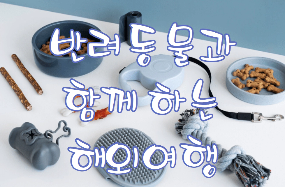 다양한 애완견 액세사리
