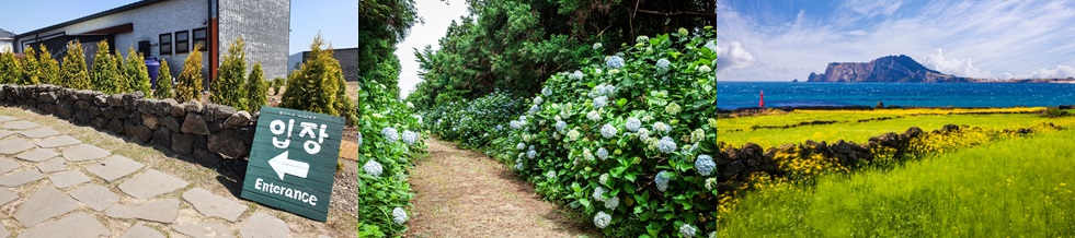 보롬왓 홈페이지