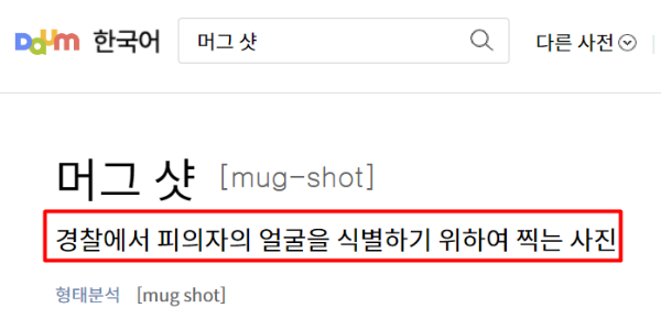 머그샷의 사전적 의미