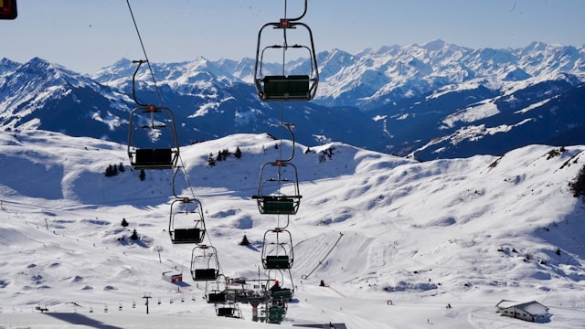 따뜻한 겨울 서울 식물원 온실 데이트 코스