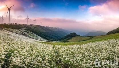 장암산