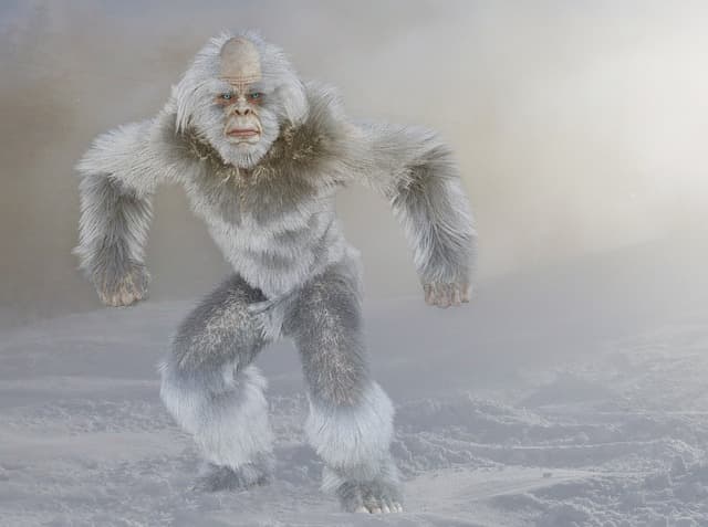 호주의 ‘요와이(Yowie)’: 빅풋의 친척인가, 또 다른 전설인가?