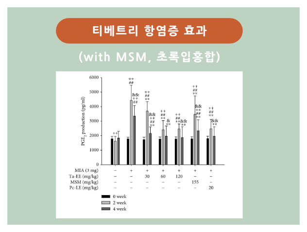 티베트리 msm 초록입홍합 항염증 효과