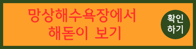 동해시 해돋이 명소