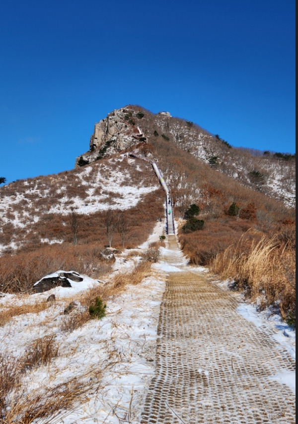 경남 겨울 여행 명소 추천, 자연&middot;설경&middot;숲길 BEST 4
