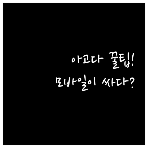 PC보다 저렴한 아고다 모바일 전용 ..