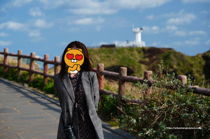섭지코지2