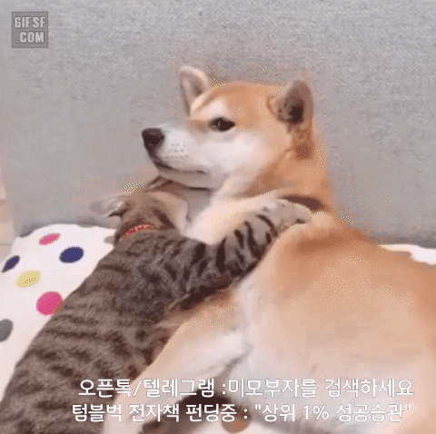 1월 23일 신문스크랩