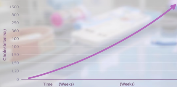 콜레스테롤 수치의 빠른 상승