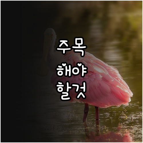 2025 평택시 청년 주거비 지원 신..