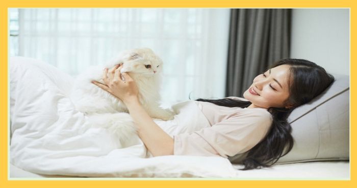 침대 위에서 고양이를 안고 편안하게 쉬고 있는 여성의 모습으로&amp;#44; 연휴나 휴일의 여유로운 휴식을 표현한 사진.