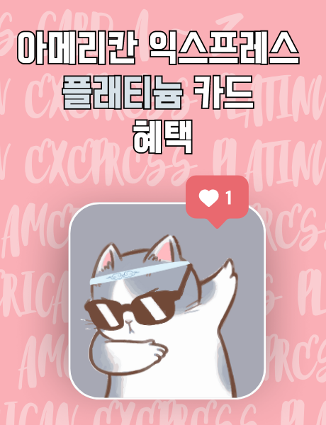 현대 아메리칸 익스프레스 플래티넘 카드 호캉스 혜택의 모든 것(FHR)