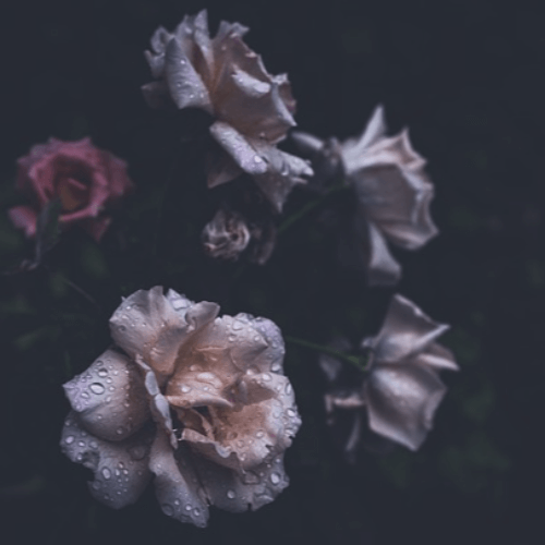 산후 우울증 증상