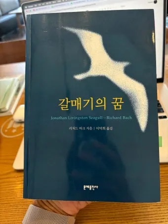 갈매기의 꿈 줄거리 자기초월 우화 리처드 바크_17