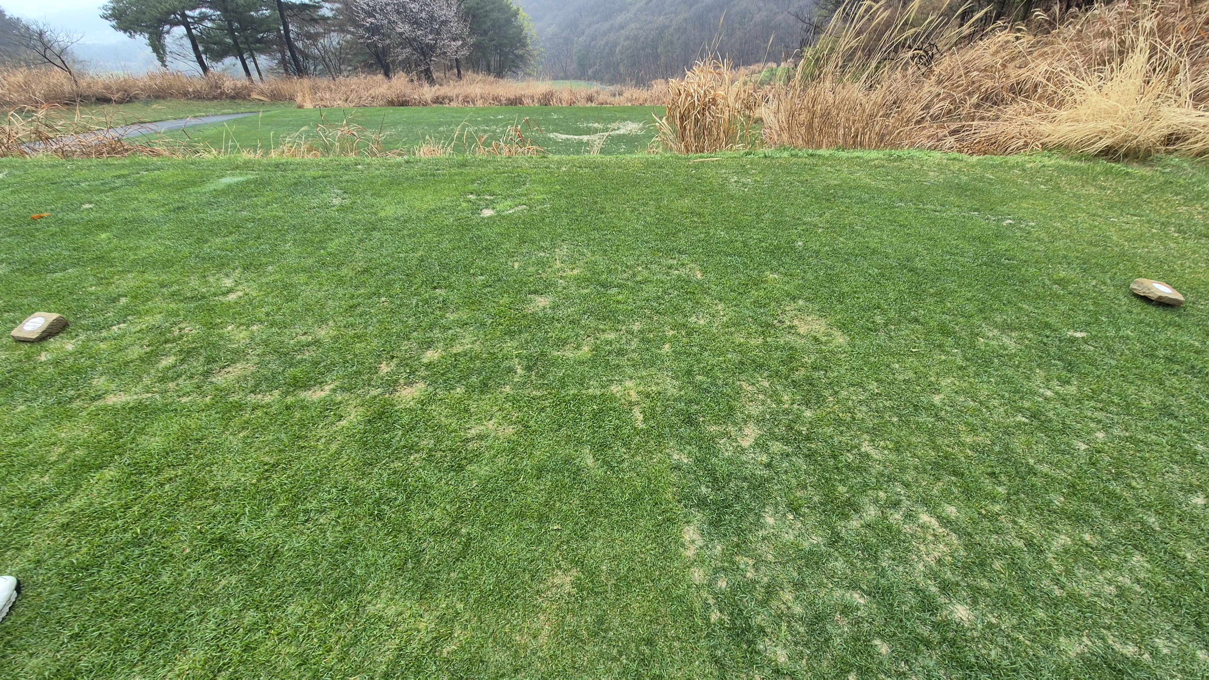 레인보우힐스cc 동-남 코스 티잉구역 상태