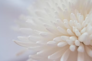 조문 위로문자 문구