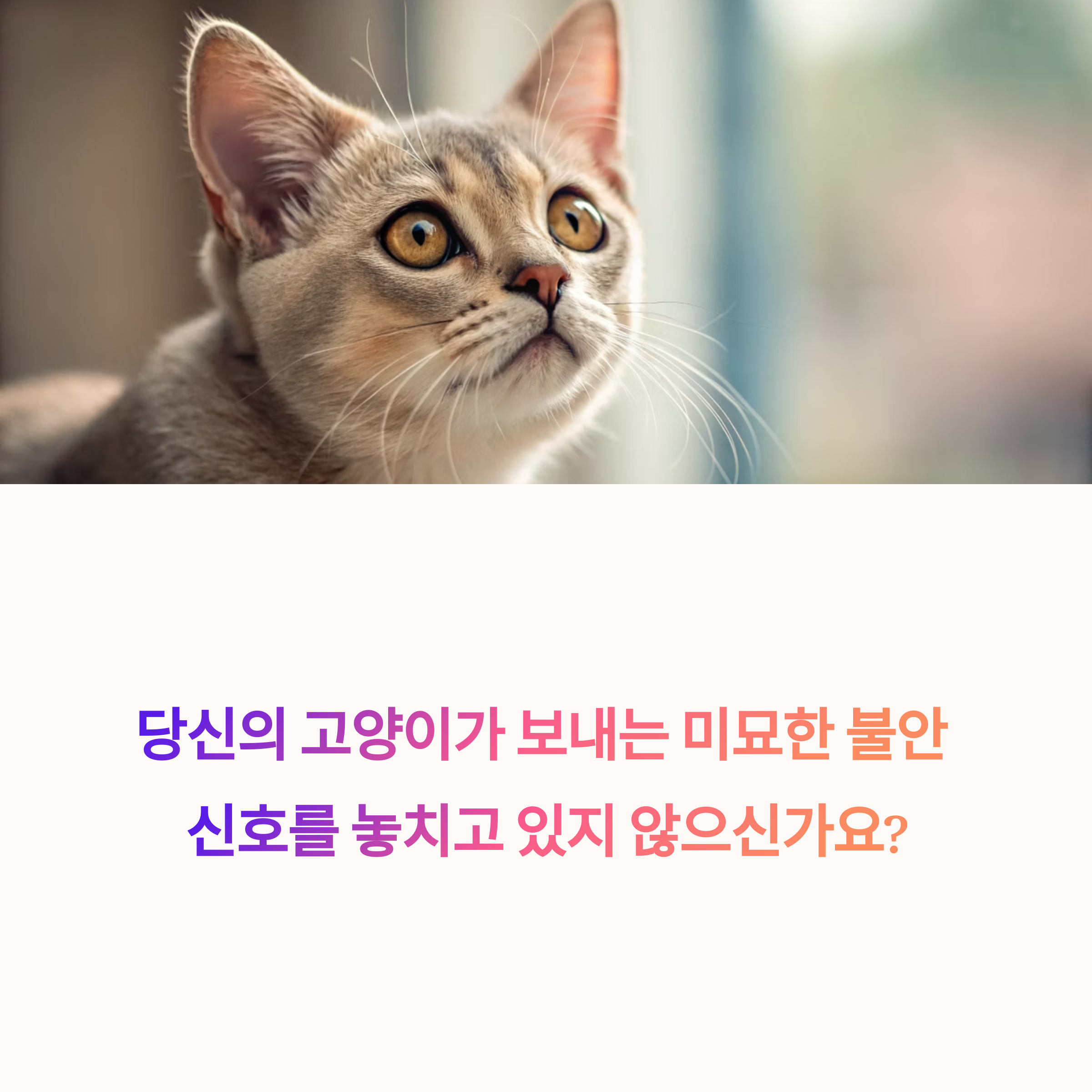 불안 신호를 놓치고 있지 않으신가요?