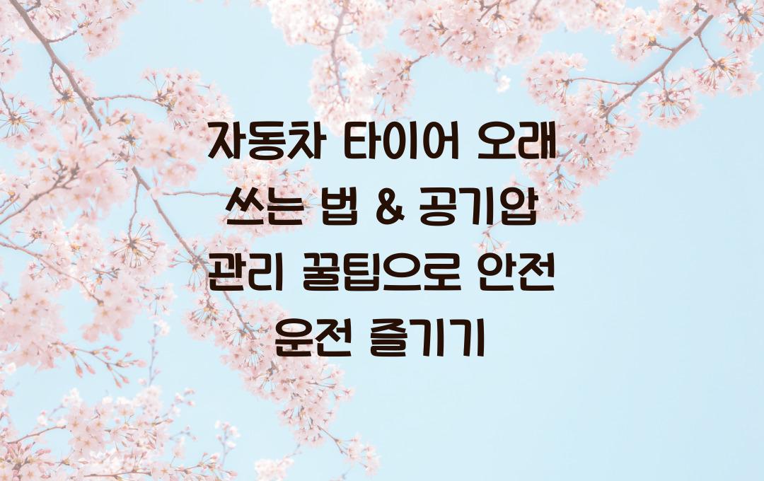 자동차 타이어 오래 쓰는 법 & 공기압 관리 꿀팁