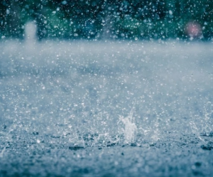 2024년 장마 시작시기