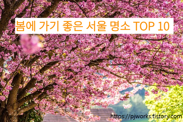 봄에 가기 좋은 서울 명소 TOP 10