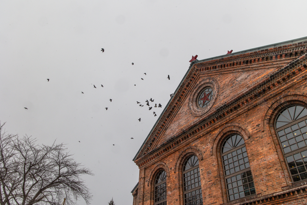 적벽돌의 맥주 박물관 위로 까마귀가 날아갑니다.