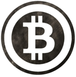 역대 미국 대선 발표 비트코인 영향 2024 예상 반응