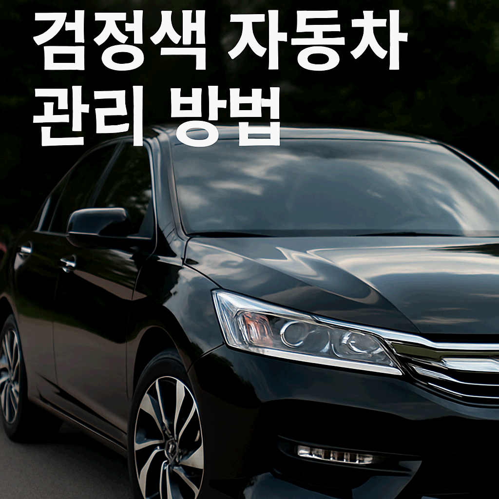 검정색 자동차 관리 방법