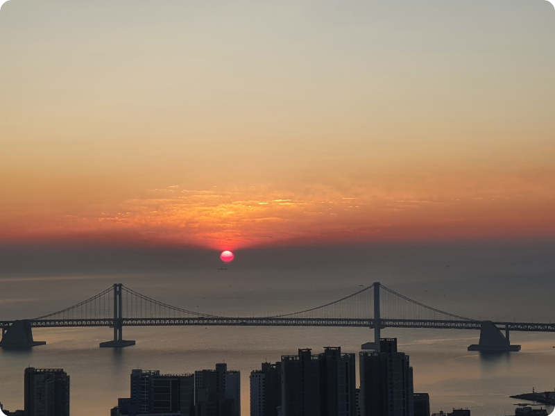부산 금련산 새해 일출 해돋이 명소 이미지